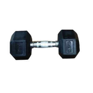 Hexagonal Dumbbell - Rubber Coated 12.5kg Single (Black & Silver) | DUMBBELL