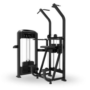 UBENCH DIP/CHIN ASSIST