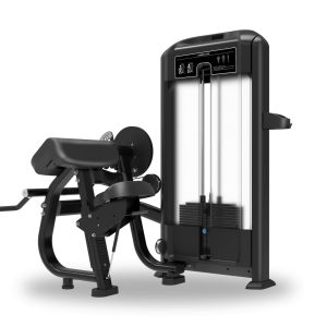 UBENCH  BICEPS/TRICEPS