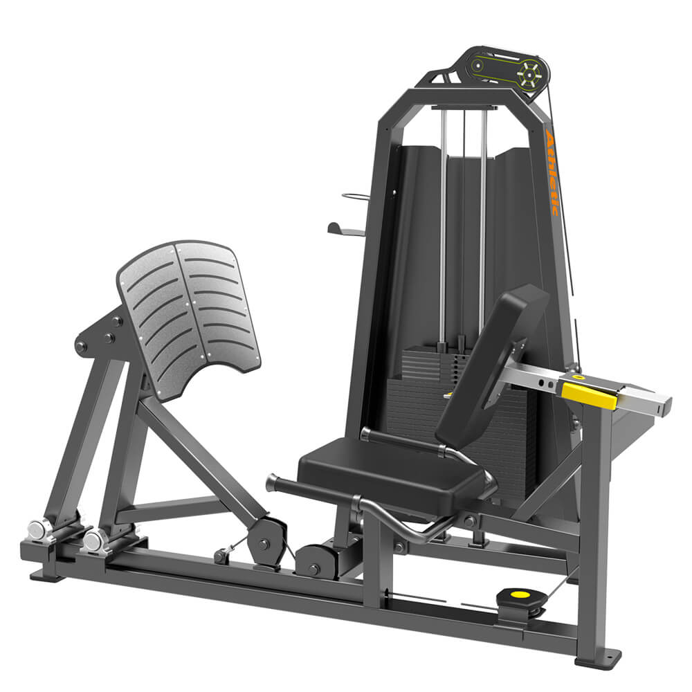 SMART-LEG PRESS (115KG)